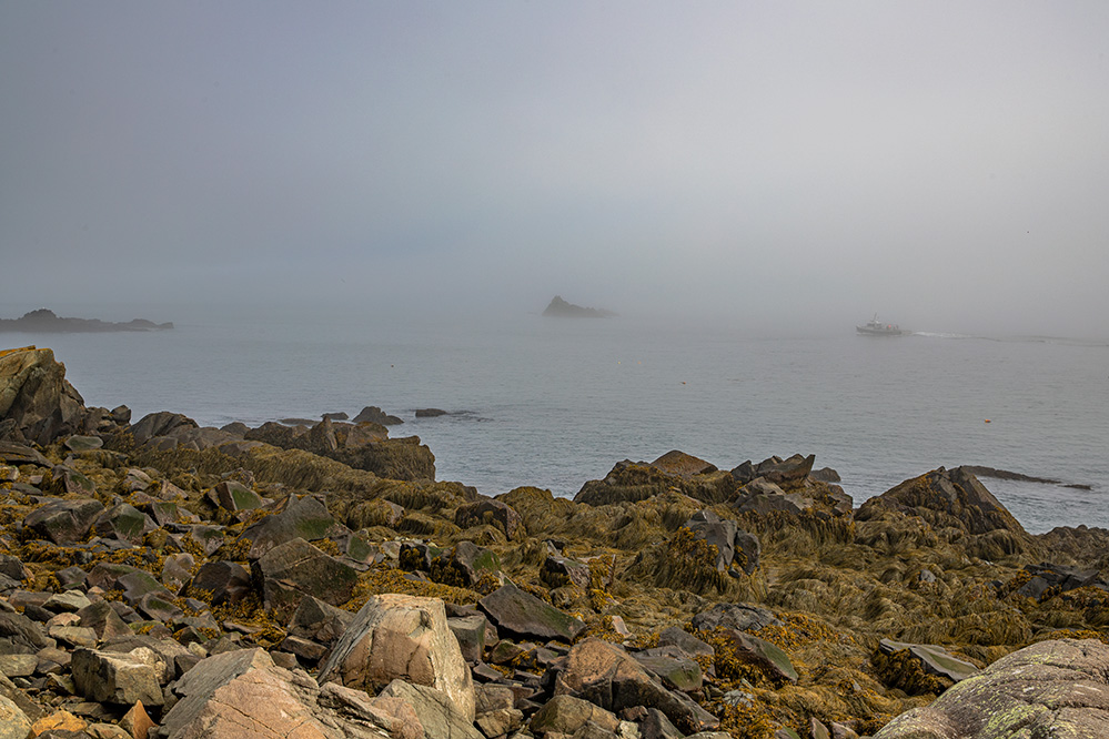 Coast of Maine picture